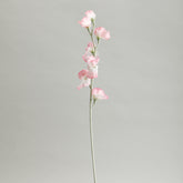 Sweetpea Pink Flowers